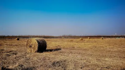 Casino Lucky Pants Bingo Farsímaforrit